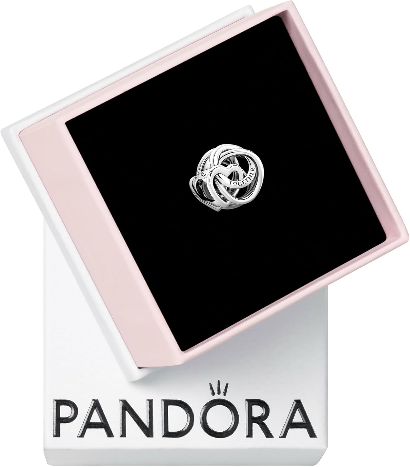Pandora Moments Kolekcja Na zawsze rodzina - obrazek 2